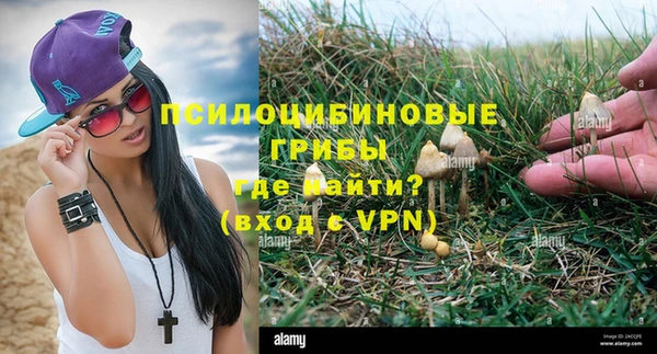 гидропоника Дмитриев