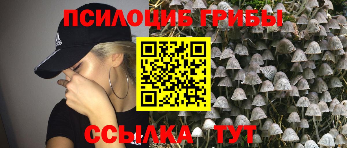 Псилоцибиновые грибы мухоморы Раменское
