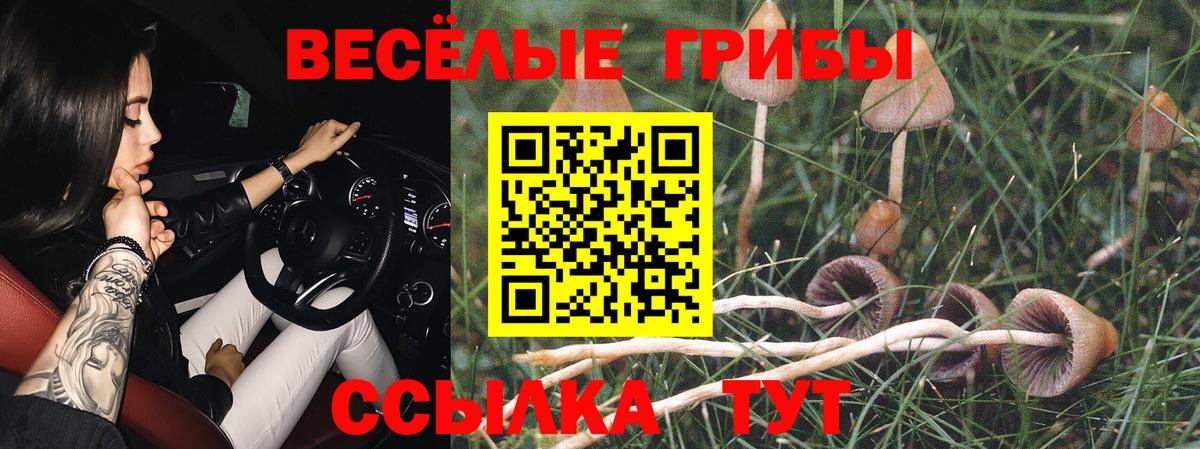 Раменское  дарнет шоп  Вход с VPN  Галлюциногенные грибы Cubensis  Галлюциногенные грибы мицелий 